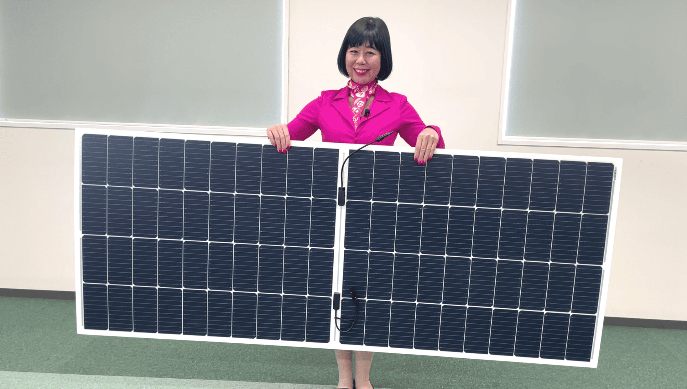 系統用蓄電池ビジネス